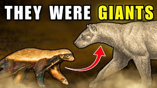 The Historic Reason Honey Badgers Don’t Give a Sh*t