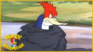 Woody Woodpecker | The Loose Nut | Full Episode