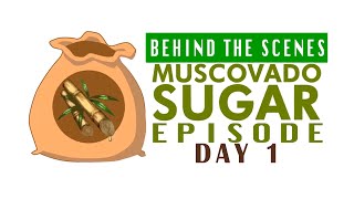 Behind the Scenes   AgriBusiness How It Works Muscovado Day 1