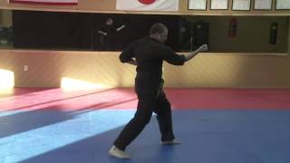 Pinan Shodan