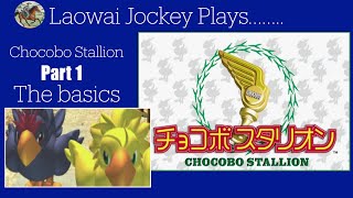 Chocobo Stallion チョコボスタリオン The basics.