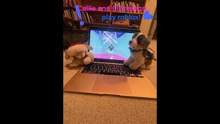 Callie and Cinnamon play roblox!