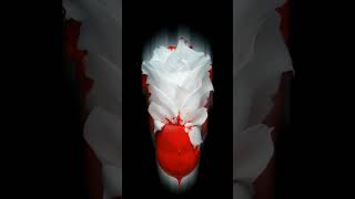 Hubs 1406 Wk 4 - The Beat of Blood