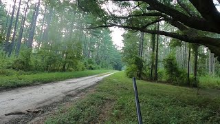 SC Deer Dog Drives 8/17/24: We’re back running dogs!