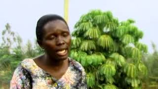 NTAPIGANA VITA BY EUNICE OGOMA (Official Video)