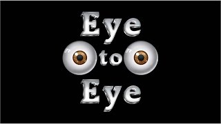Eye to Eye Audience