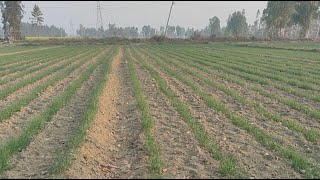 Rural & Urban Vlogger is live
