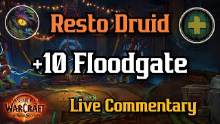 Resto Druid +10 Floodgate PUG
