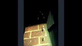 creepy spider wraps moth in caccoon