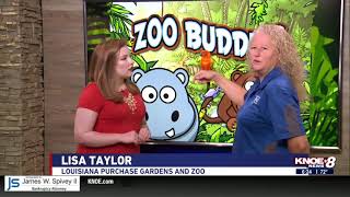 Zoo Buddy: Beautiful sun conure