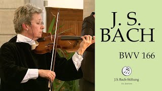 J. S. Bach - Aria "Ich will an den Himmel denken" from Cantata BWV 166  (J. S. Bach Foundation)