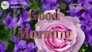 25 April 2019(1)
