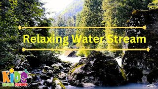 Kids Natural Sensory Healing Waters: Ambient Stream Sounds for ADHD and Sleep Therapy"
