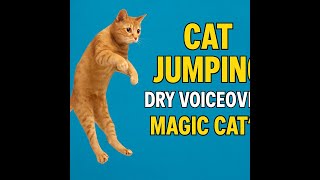 cat Jumping with Dry Voiceover Magic Cat's  #catcomedy #ytshorts #catentertainment  #catvideos