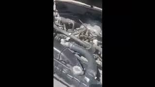 1992 Toyota fj62 3FE 4.0L Engine cold start and idle