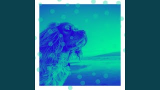 Artistic Well Rested Dogs