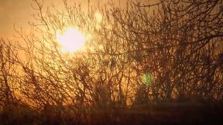 JUZNO OD GRANICE-ZPG/Piano-Syn./
