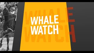 Whale Watch - Methven, January 25