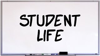 The Stages of the Student Life