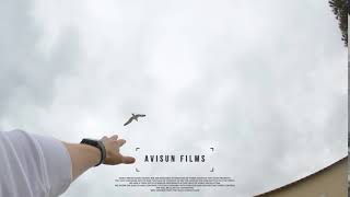 Man trying touch to sea gull