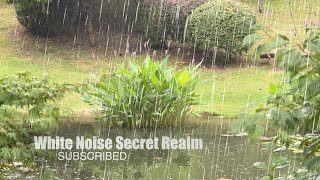 Soft Rain by the Lake ☔ 3 Hours for Deep Sleep, Study, Relaxing Sounds & Meditation