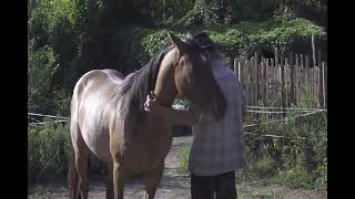 Bohdanka konečná práce ze země .