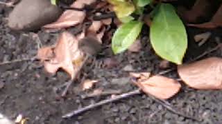 What is this?