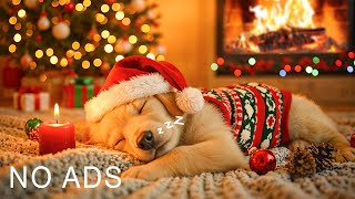 24 Hours of Relaxing Music🐶🎅Deep Sleep Puppy Calm Music🐶🎵Dog Separation Anxiety Music #dogmusic
