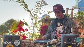 Musically Reclined - DJ Dollfin