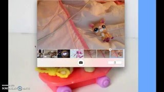 Lps for trade ( for team girls 3 )