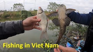 Carp Fishing in the Vietnamese Countryside - Fishing  in a Natural River