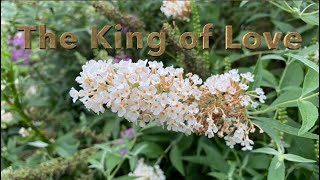 The King of Love, song by I Am They performed by Jay Tucker Travis