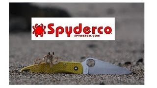 Spyderco SALT-1 filmed in salty ocean water in HAWAII