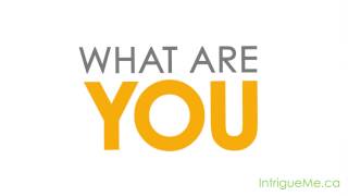 Intrigue Media - Helping Businesses Make $1 Million - Markham