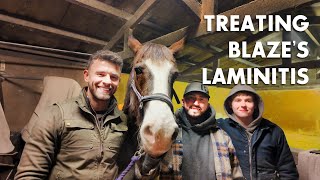 Treating Blaze's Laminitis - SW Farriers