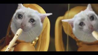 DOJA CAT - SAY SO - SHITTYFLUTED