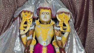 Shree diggi kalyan ji ki shayan arti