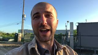 Are Your Trees Not Growing? Urban Soil May Be To Blame - The Urban Foresters
