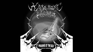 Katatonic Silentio - Waiting For The Dust To Settle