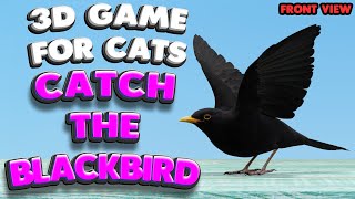 3D game for cats | CATCH THE BLACKBIRD (front view) | 4K, 60 fps, stereo sound