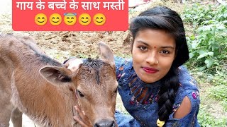 Gay ke 🙏🙏🐄🐄🐄bacche ke sath masti #YouTube long video #superhit long video 2 December 2024🐄🙏🐄🙏🐄🙏🐄