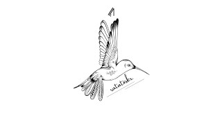 alectricz - ratatöskr.