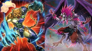 Gladiator Beast & Melffy Vs. Blackwings In The Yu-Gi-Oh! Master Duel King Of The Island Festival