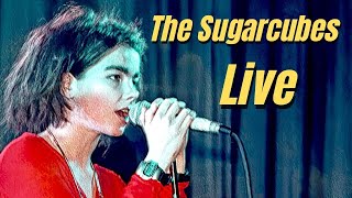 Sugarcubes - Madrid, Spain 1988 Live