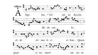 Angelus Domini descendit • Offertory