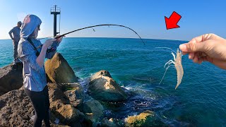 This Why You Use *LIVE SHRIMP* At The JETTY!
