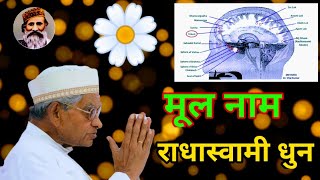 मूल नाम राधास्वामी धुन [Beautiful Voice, Lyrics and Tune]🙏🌼🙏 #Dayalbagh
