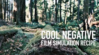 Cool Negative Film Simulation Recipe | Qualicum Heritage Forest | Fuji XT4