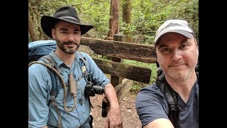 Benton MacKaye Trail Hiking - Three Forks to Skeenah Gap, GA Overnight (August 2018) 17 miles