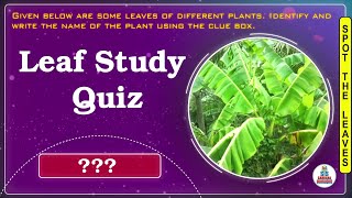 Spot the Leaves | Plants | GK Booster Sardana